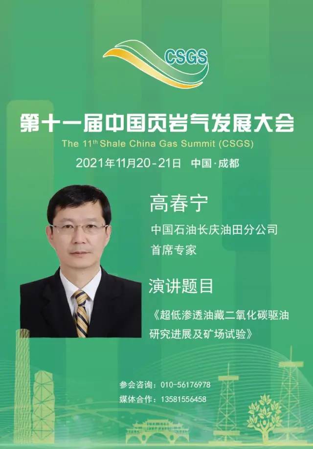 CCUS专家齐聚！共同探讨“双碳”背景下的挑战与机遇！