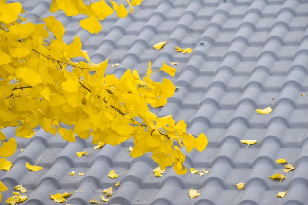 这篇推文的含“金”量有点高！