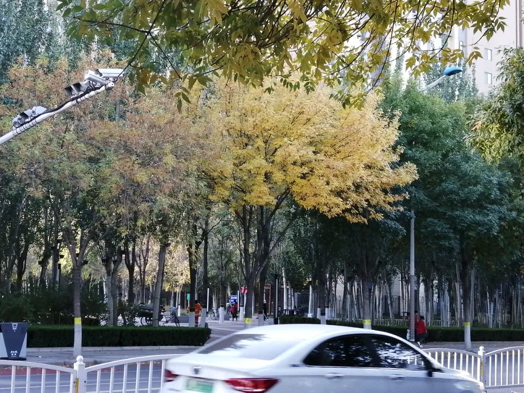 汽车发飘，是哪里出了问题？
