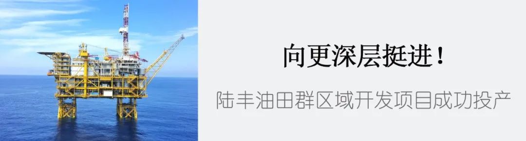 【今日“油”价】