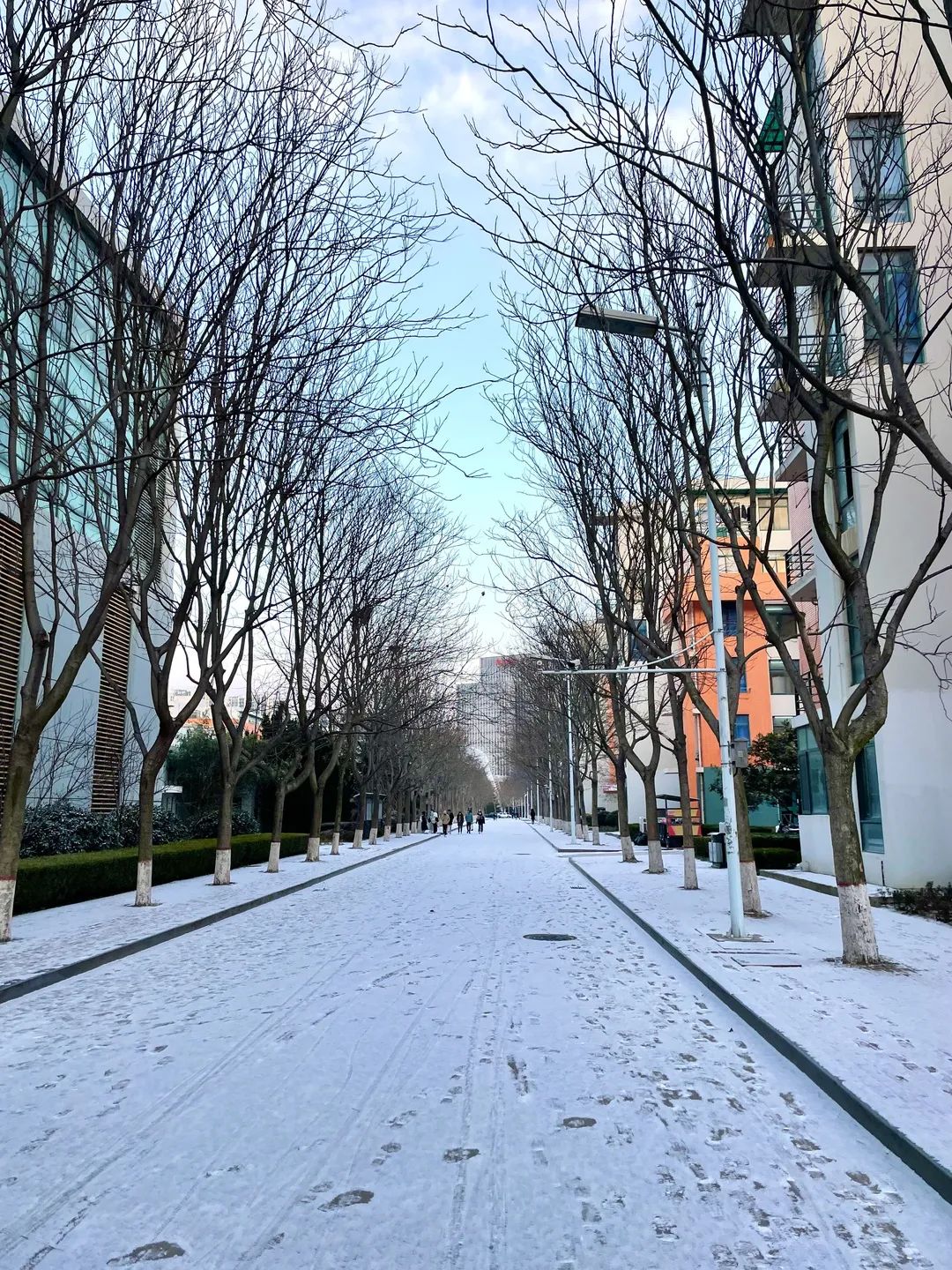 全力以赴！雪天和梦想都不能辜负！