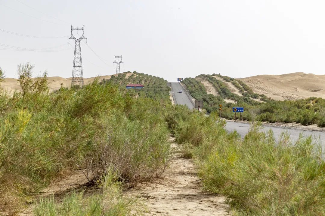 高清大片 | “中国最美公路”长啥样？