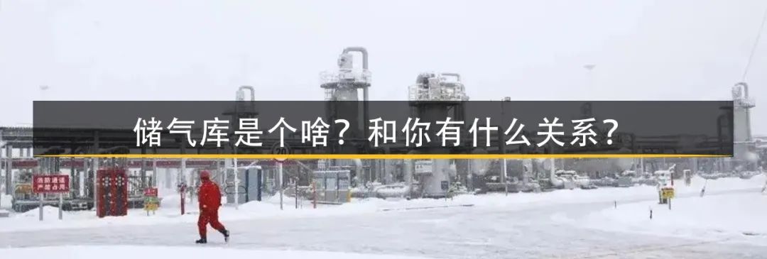 今天的壁纸有点儿绝