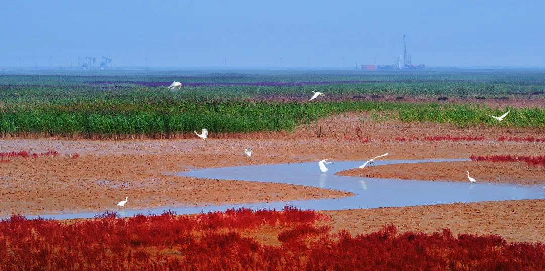 中国石化发布黄河流域生态保护和能源化工高质量发展专项规划