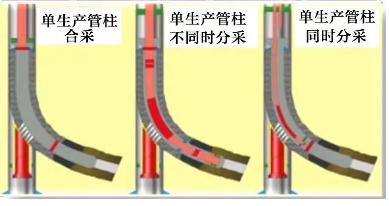 开眼了！一口井居然开了两个“眼”