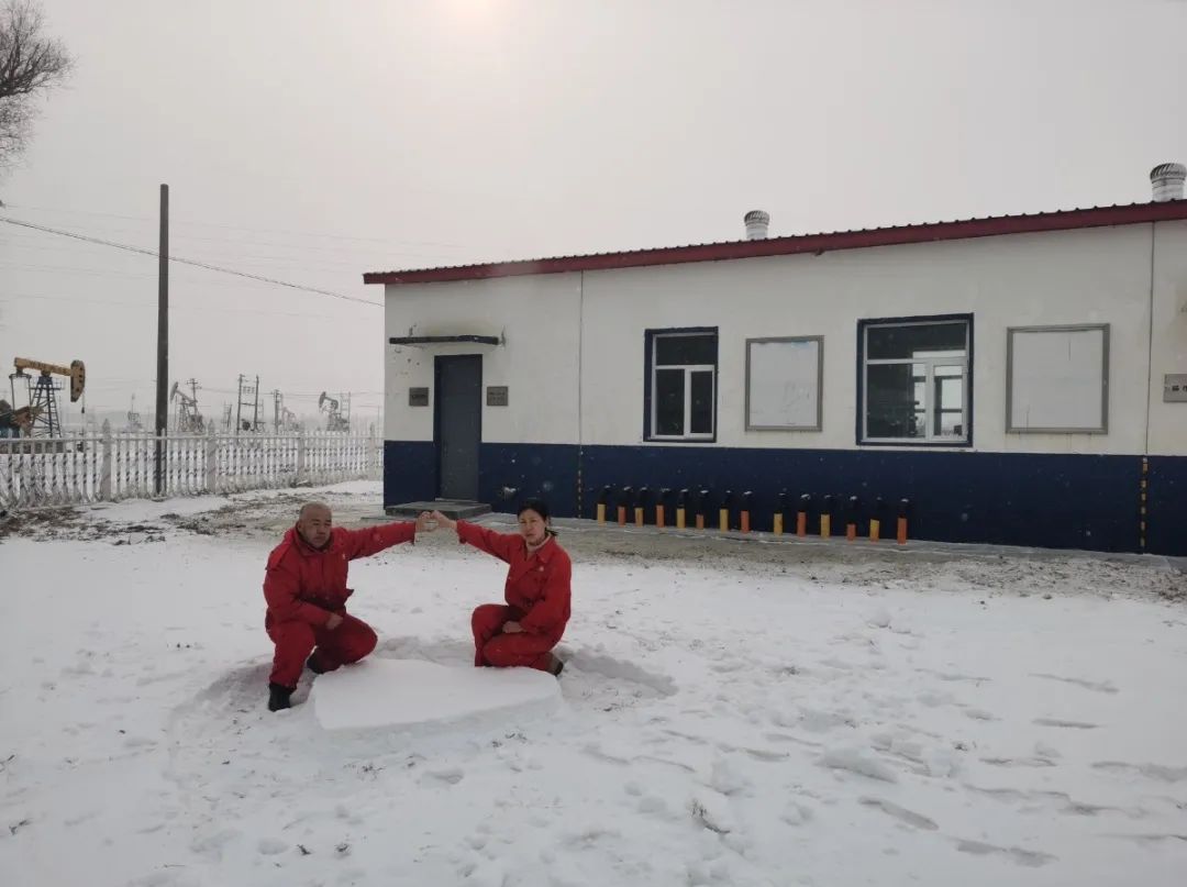 宝石花是他们的玫瑰花 石油红是他们的情侣装
