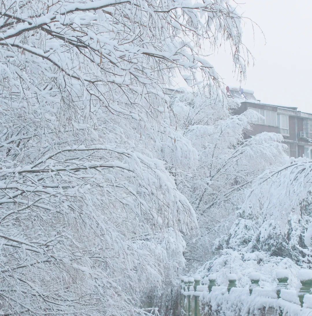 你那里下雪了吗？