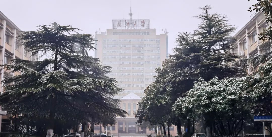你那里下雪了吗？