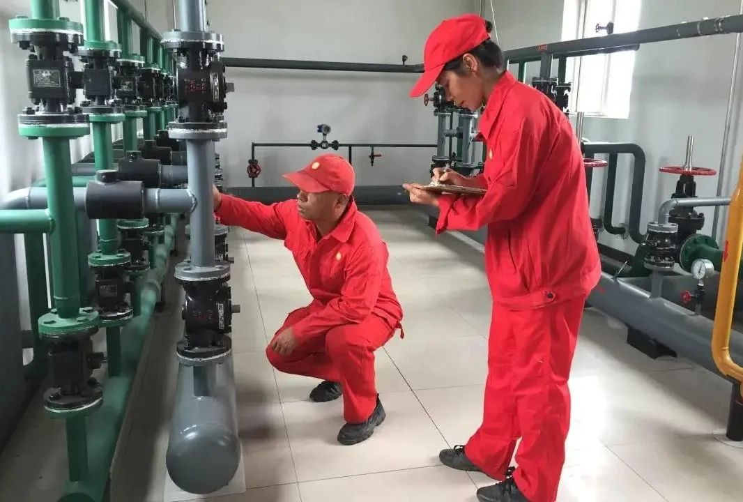 宝石花是他们的玫瑰花 石油红是他们的情侣装