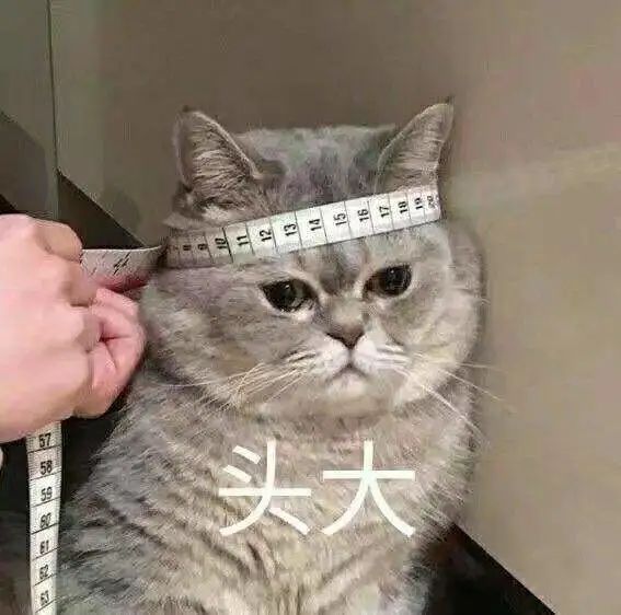 “注二代”来了！升级版本有哪些变化？