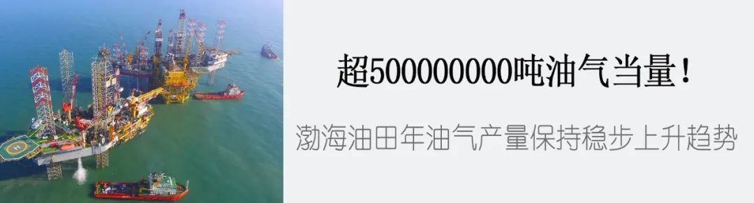 【今日“油”价】