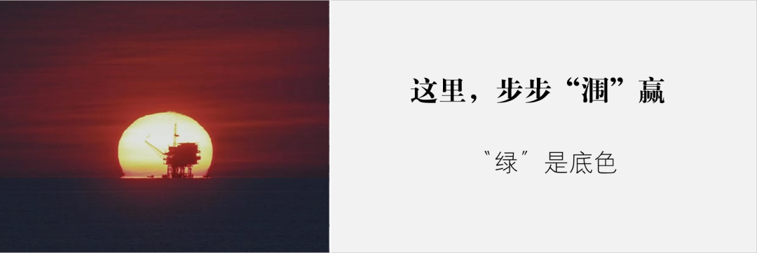 成绩怎么样？都在图里了