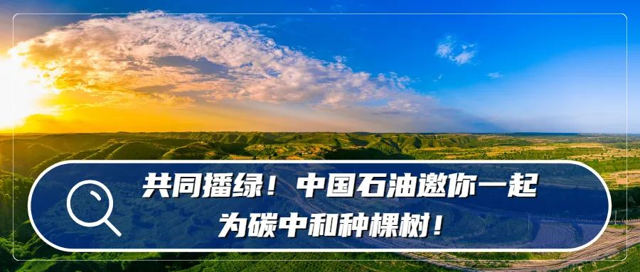 老铁们，代表委员给你们回信了！