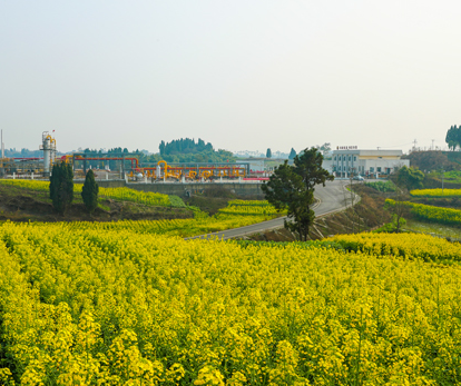 今日春分，宜赏春。