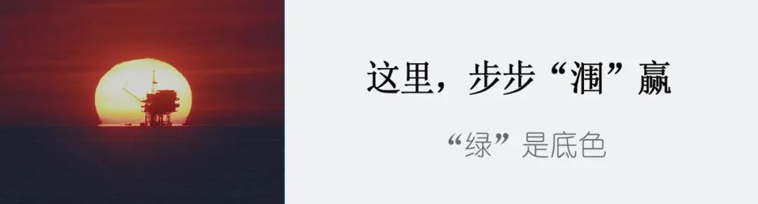 汪东进赴气电集团现场办公