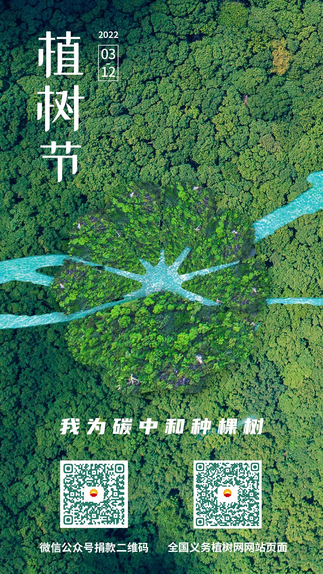 2000万的算“树”题，你不来试试？