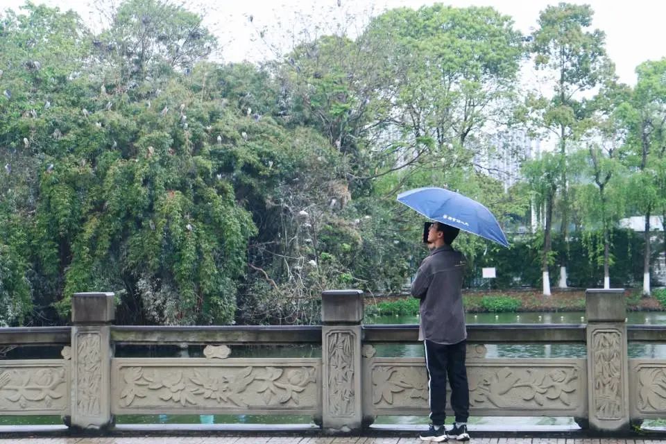 清明踏青，不忘来路