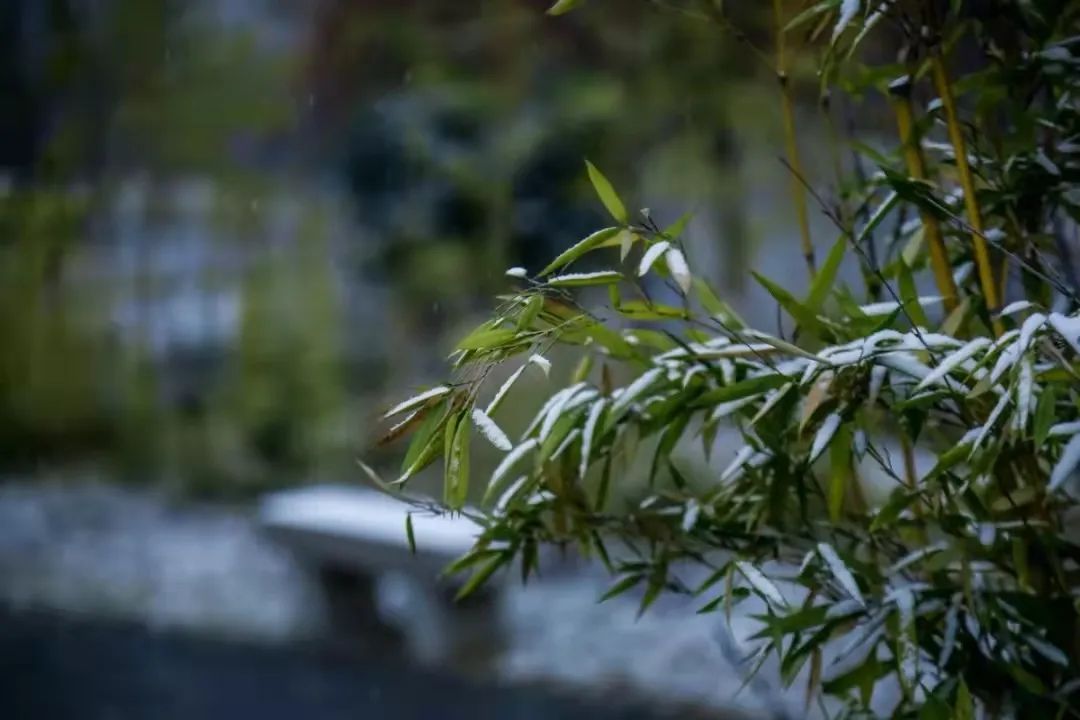 毕业倒计时！这里有专属你的西石大记忆！
