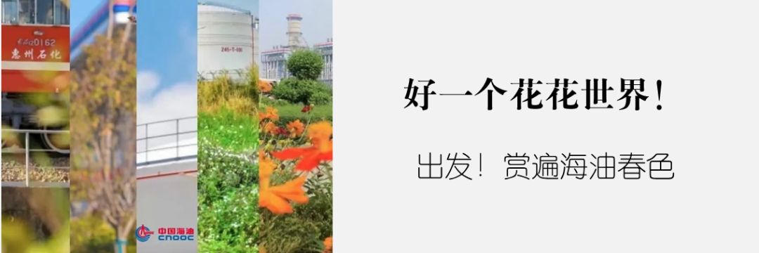 直播预告：亚洲最深导管架“海基一号”海上安装