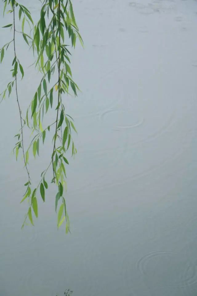清明踏青，不忘来路