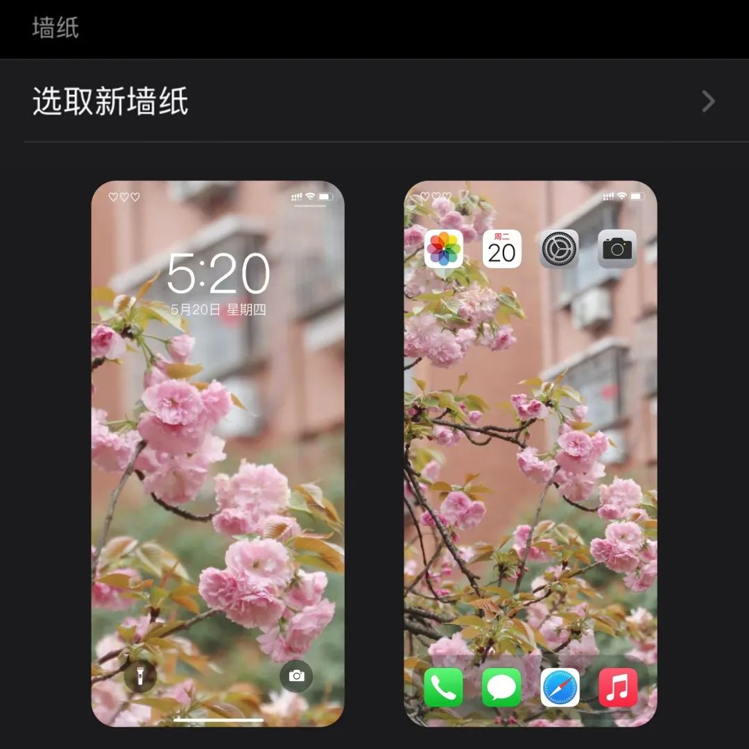 长大春日壁纸派送中