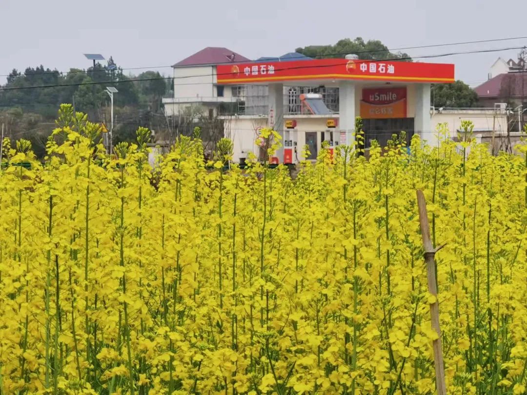 车主假期出行小指南，请查收！