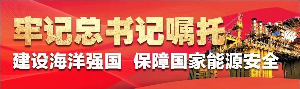 跟着总书记，看中国海油助力自贸港建设新答卷（乡村振兴篇）