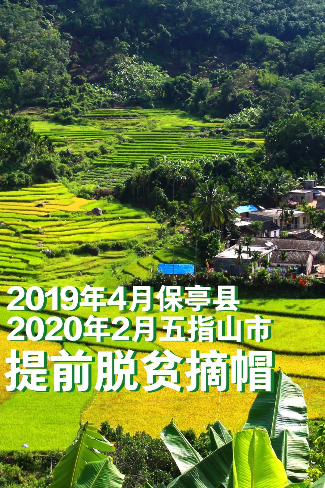 跟着总书记，看中国海油助力自贸港建设新答卷（乡村振兴篇）
