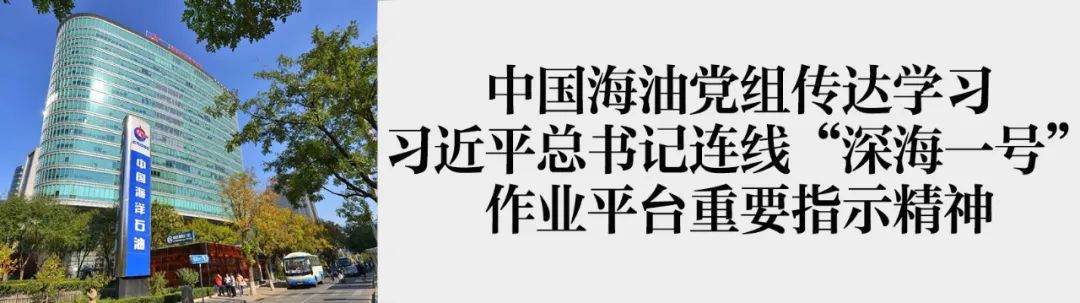 跟着总书记，看中国海油助力自贸港建设新答卷（乡村振兴篇）