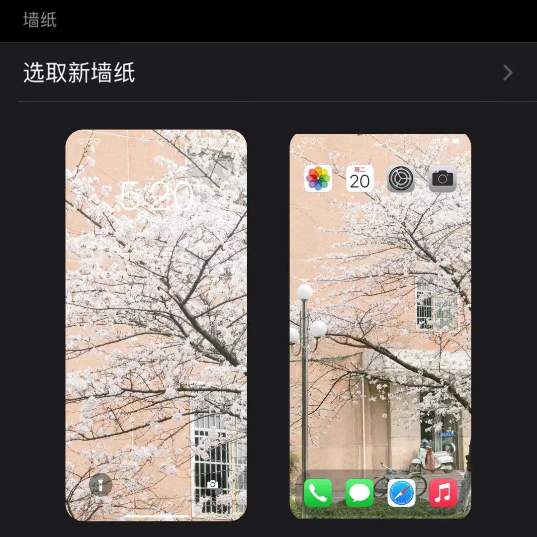 长大春日壁纸派送中