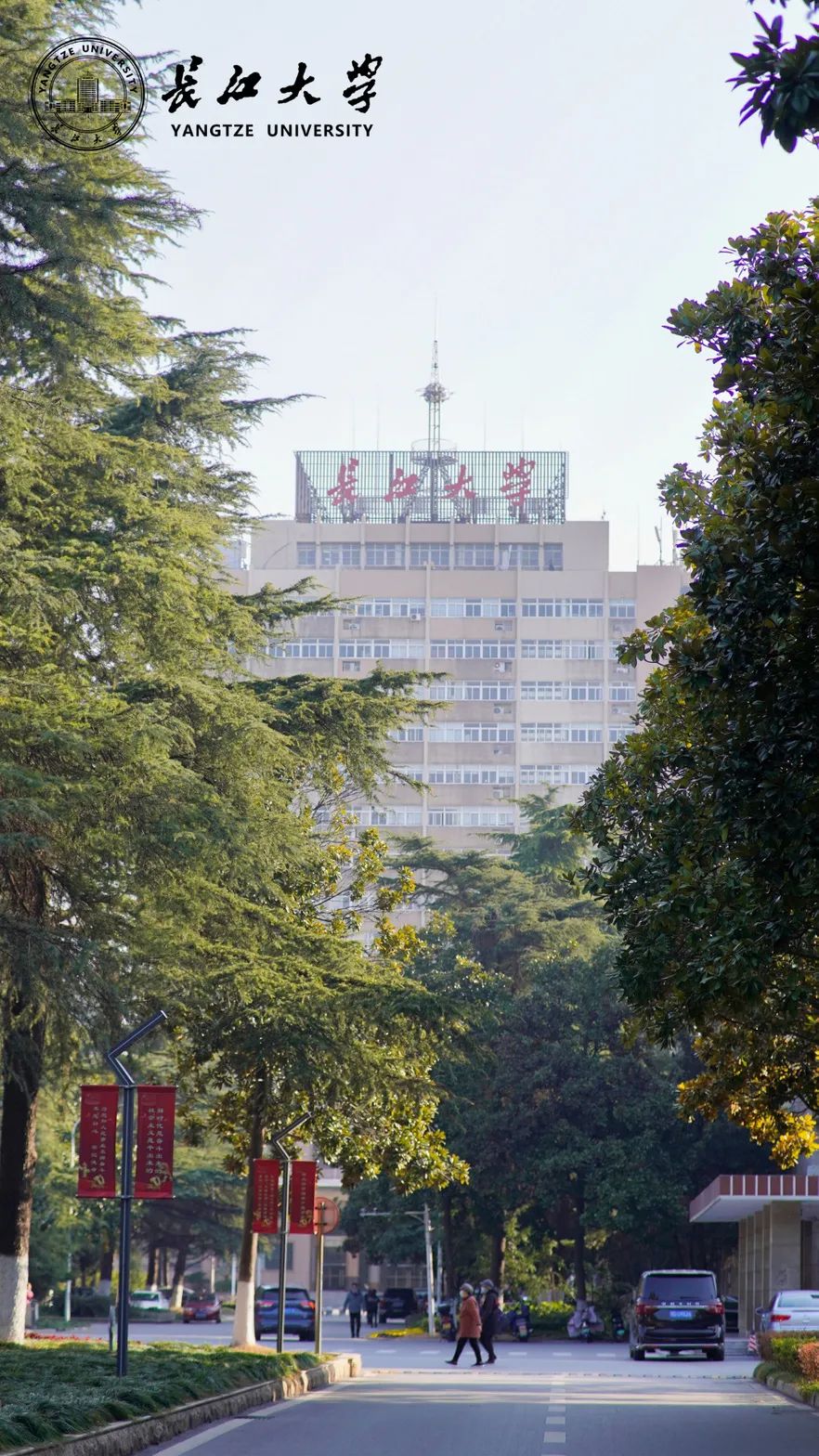 长大春日壁纸派送中