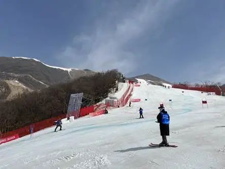 冰雪记忆 | 执裁雪飞燕