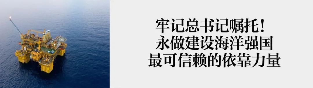 跟着总书记，看中国海油助力自贸港建设新答卷（乡村振兴篇）