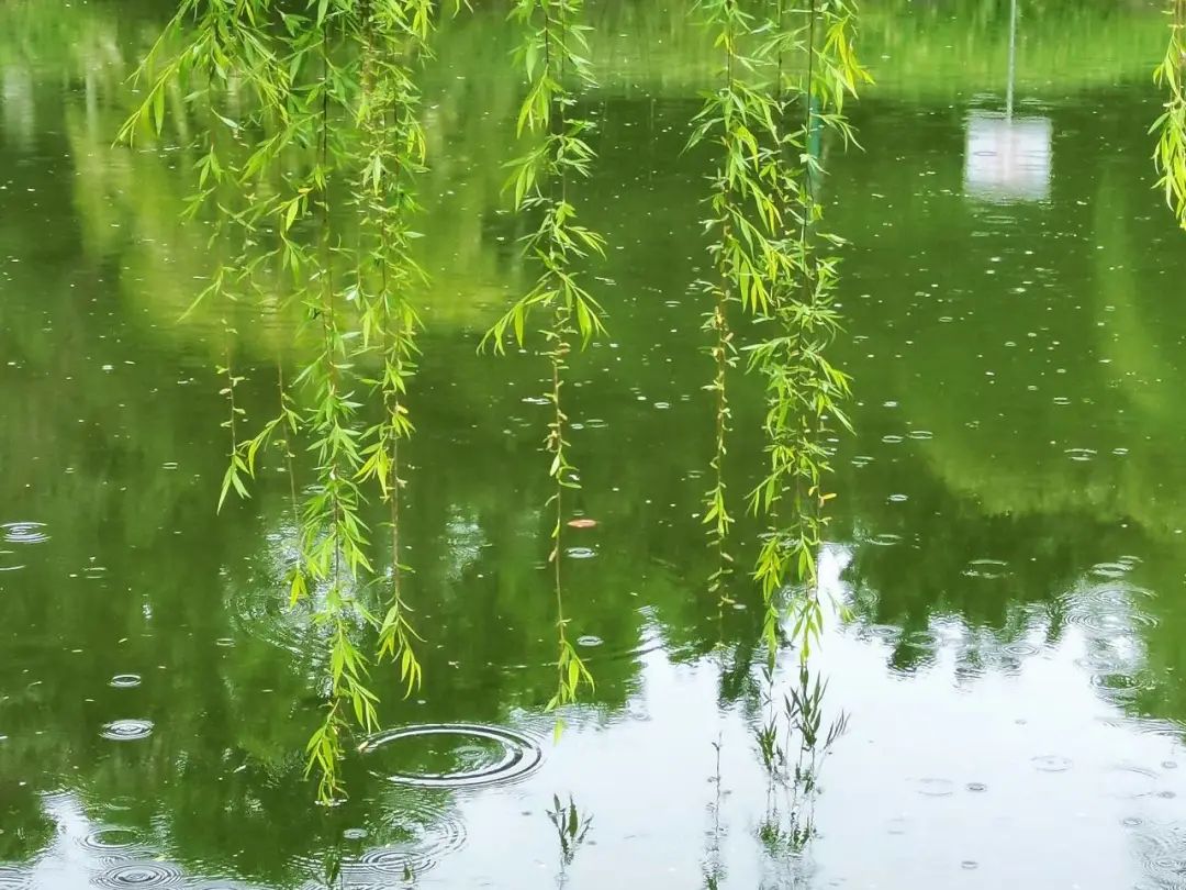 清明踏青，不忘来路