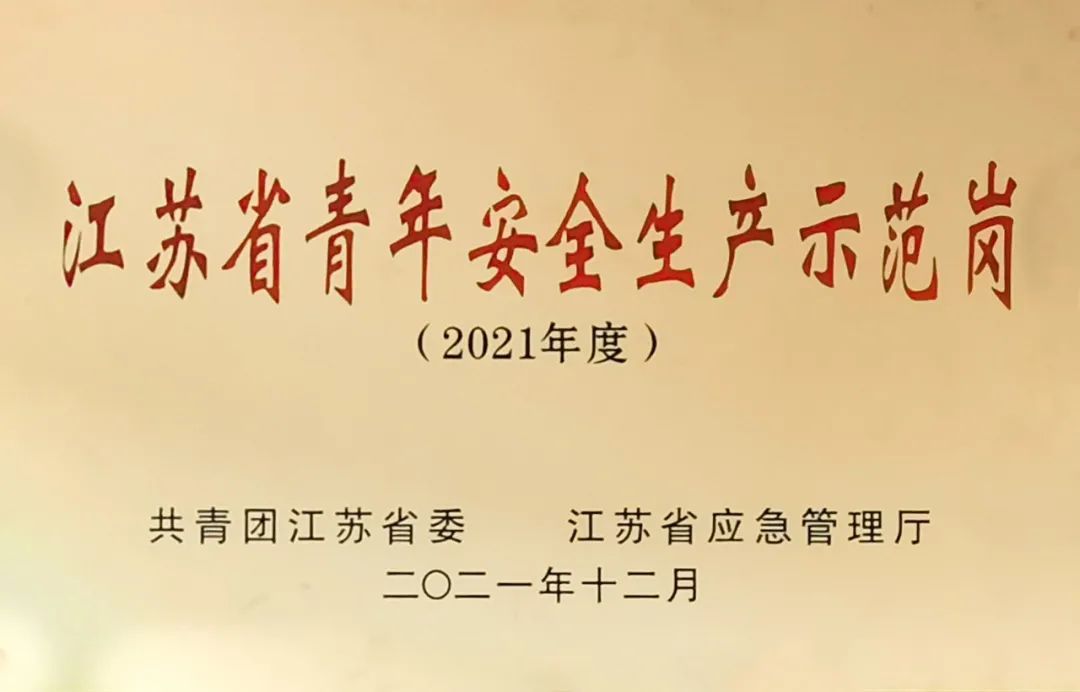 让青春在奋斗中放歌 | 这位管网人荣获“全国优秀共青团干部”称号