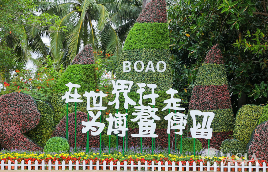 博鳌论坛“油”我保供