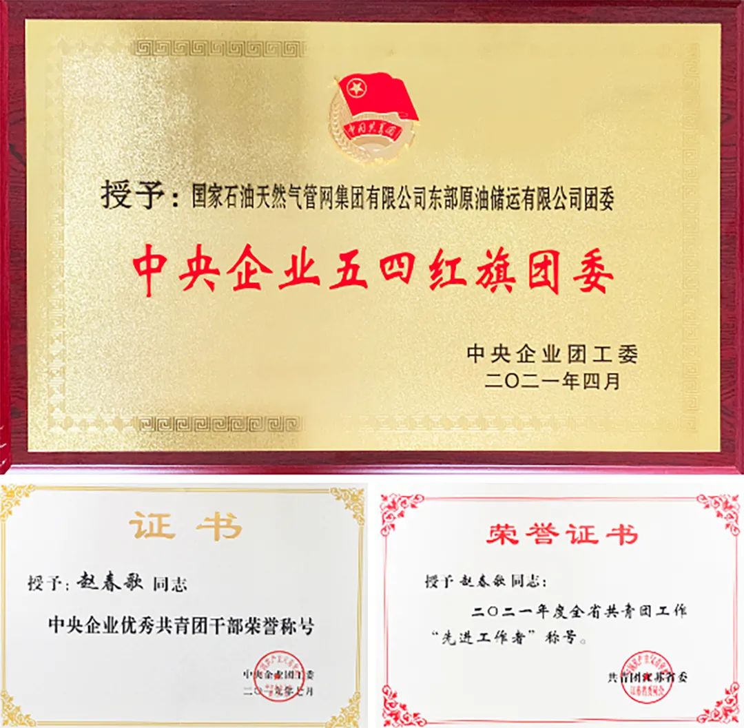 让青春在奋斗中放歌 | 这位管网人荣获“全国优秀共青团干部”称号