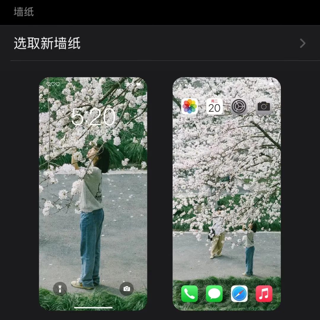 长大春日壁纸派送中
