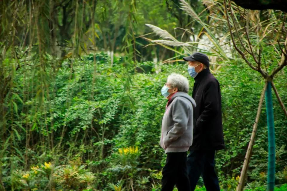 清明踏青，不忘来路