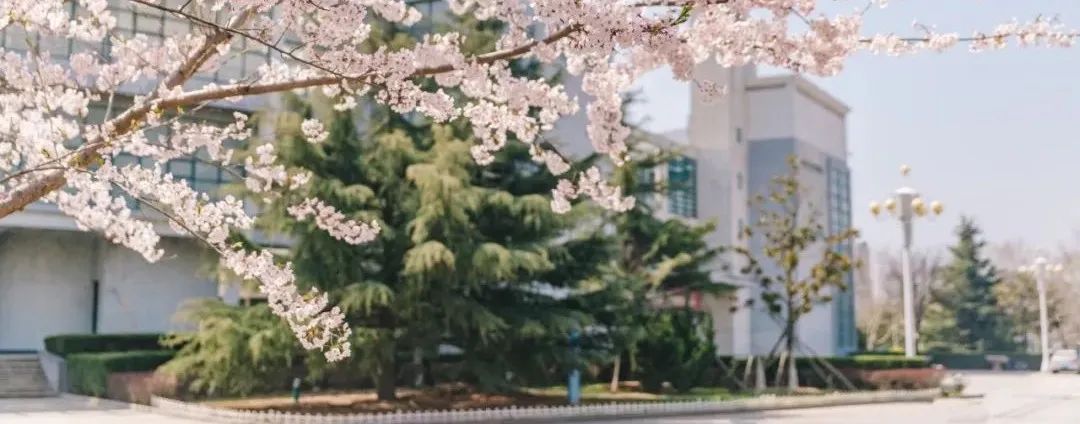 又见“神仙打架”！“十大学生标兵” 评选投票正式开始！