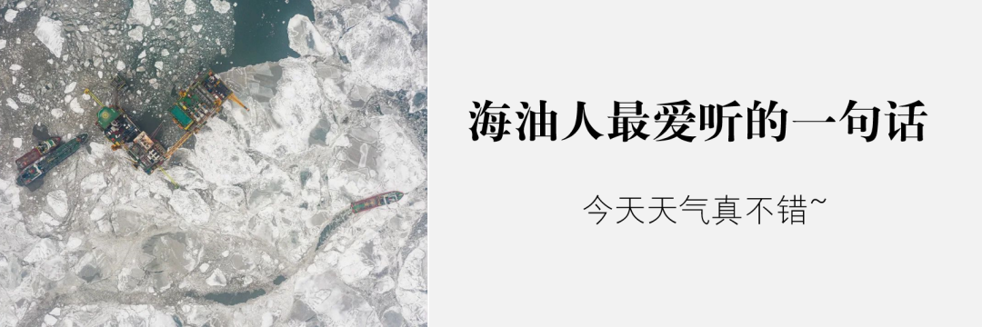 中国海油2022年乡村振兴工作会议召开
