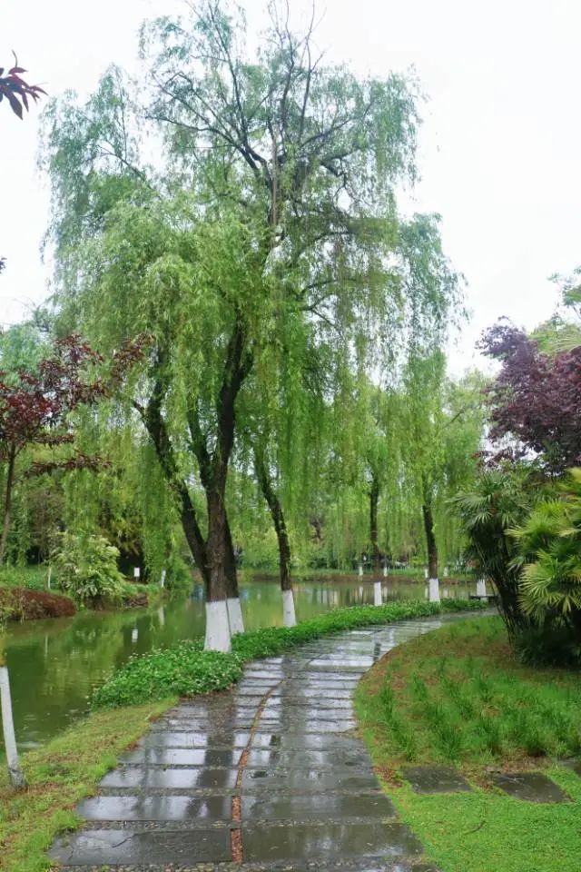 清明踏青，不忘来路