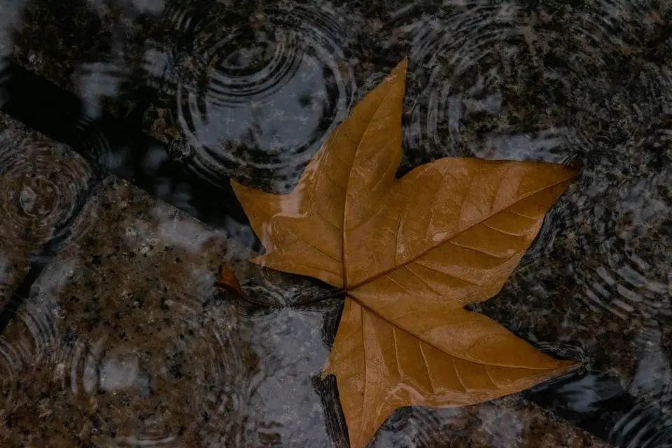 清明踏青，不忘来路