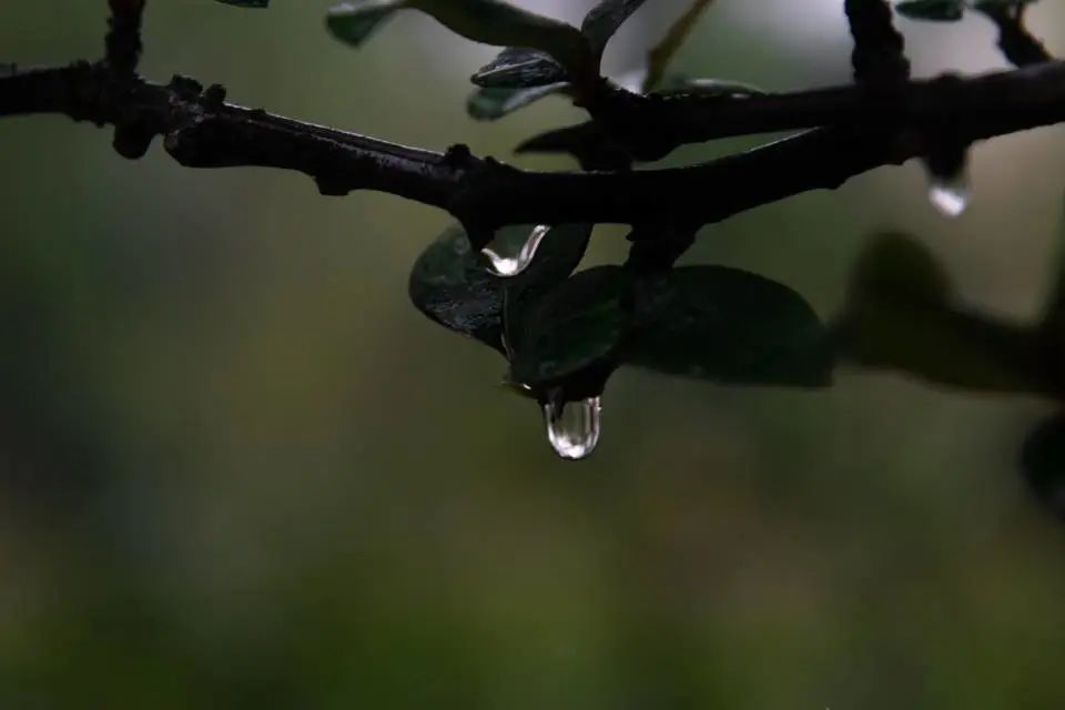 清明踏青，不忘来路
