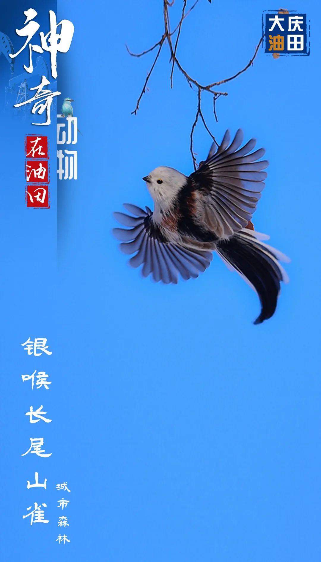 #微信农场#我来也