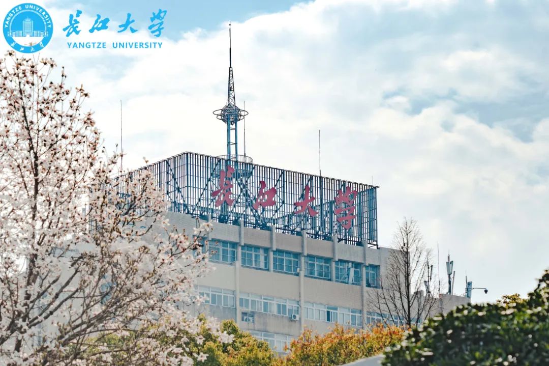 长大春日壁纸派送中