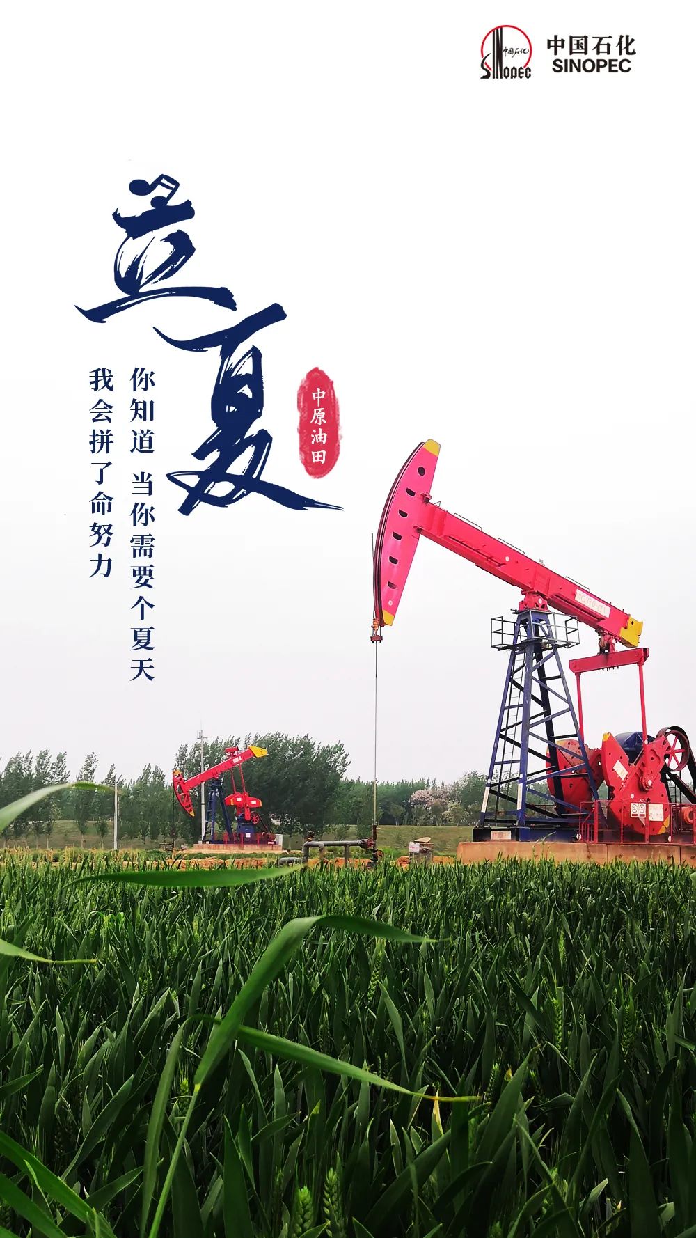 今日立夏，宜加油，加满！
