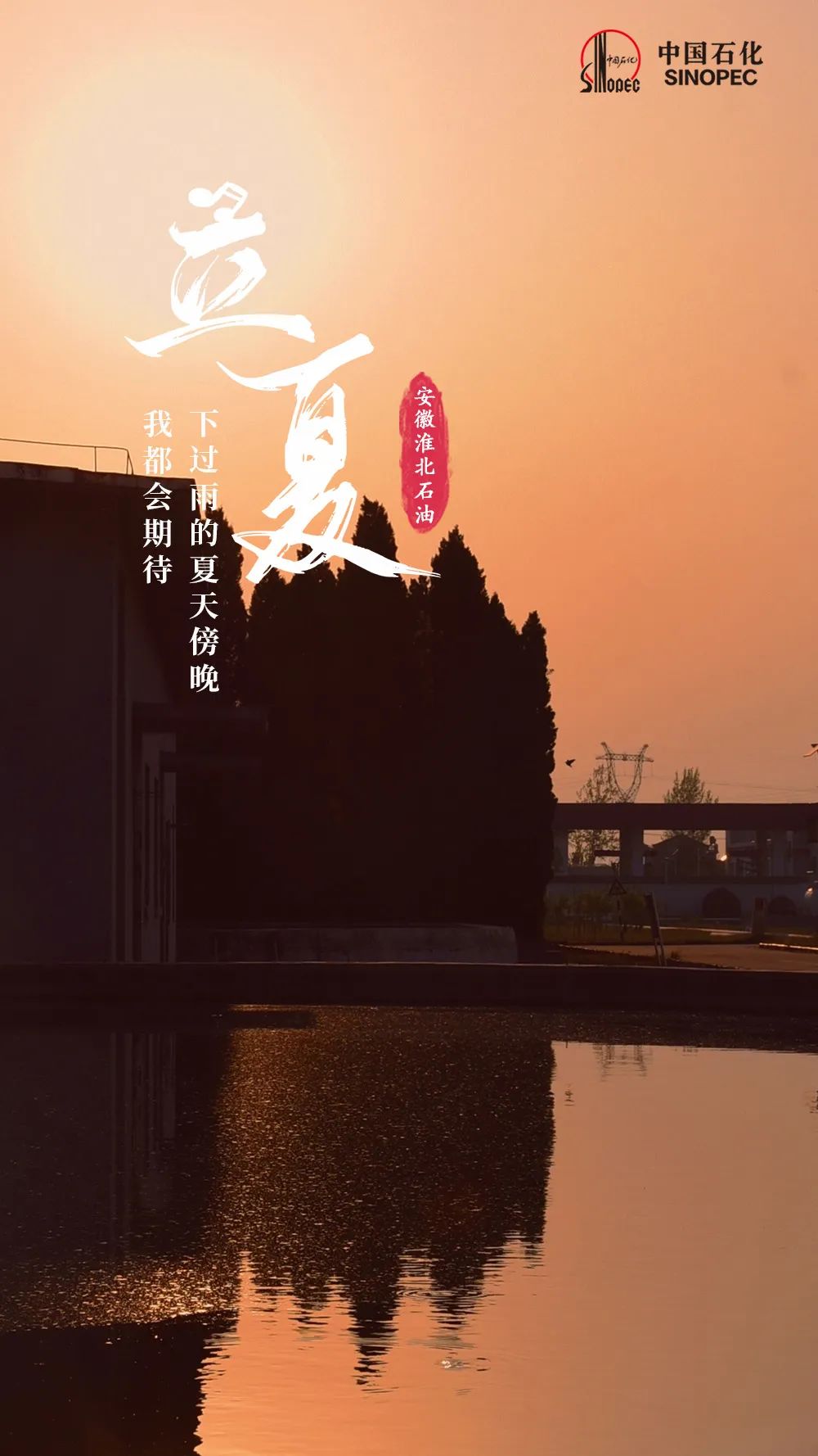 今日立夏，宜加油，加满！