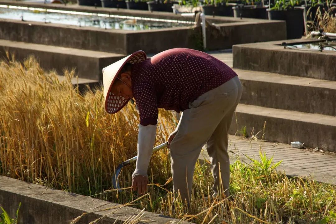 YUer影像周刊（5月9日-13日）