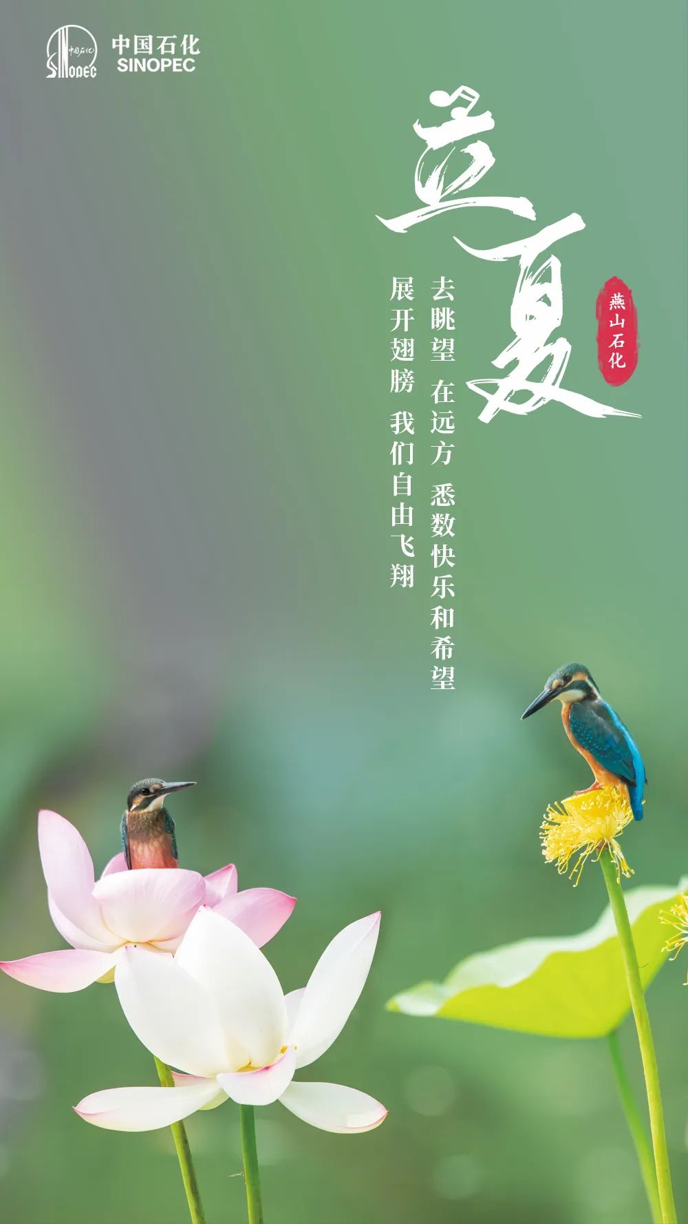 今日立夏，宜加油，加满！